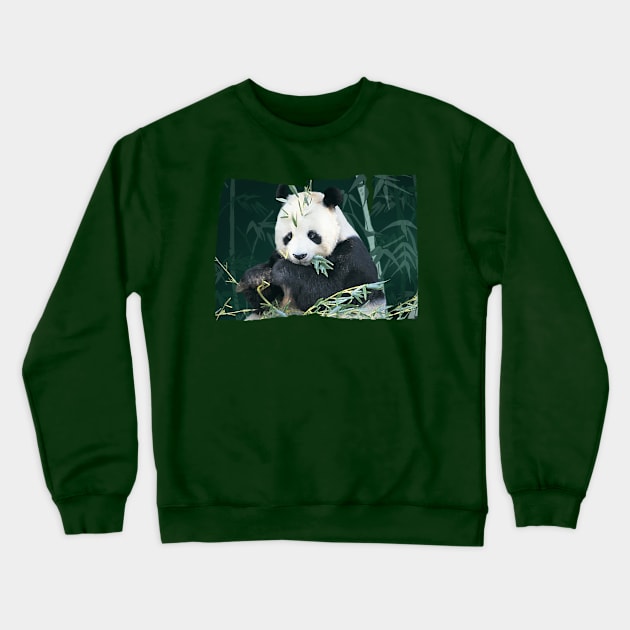 Panda With Bamboo Crewneck Sweatshirt by quingemscreations